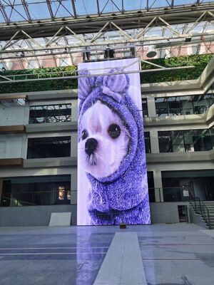 GCL 1000 mm tela LED transparente flexível personalizada para instalação interna fácil